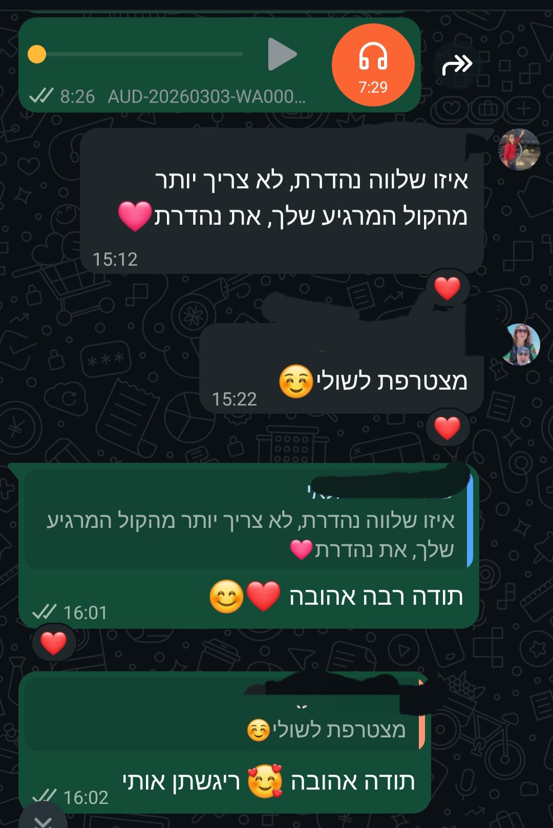 המשך משוב על תהליך של תנועה, נשימה וכתיבה הכולל מדיטציות