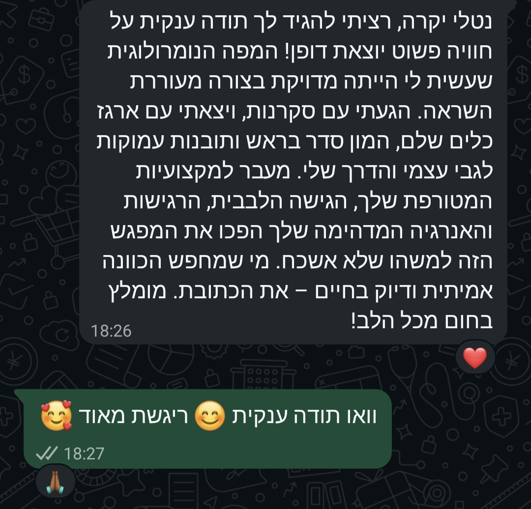 משוב על מפה נומרולוגית- גדעון